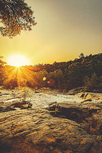 Sunray Through Trees thumbnail
