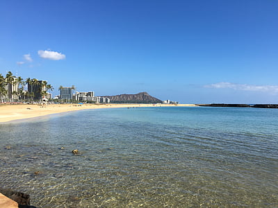 beach with trees thumbnail
