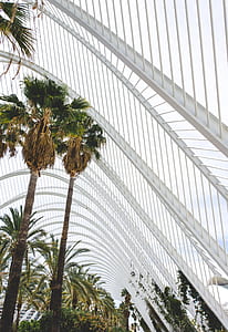 white metal dome above palm tree thumbnail