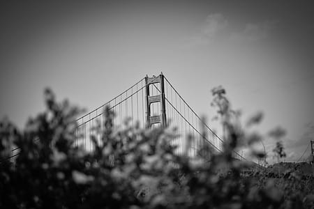 grayscale photgraphy of Golden Gate Bridge, San Francisco thumbnail