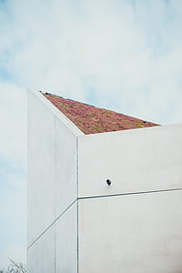 white building at daytime thumbnail