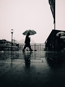 person walking under umbrella nearby Sydney Harbour Bridge, Australia thumbnail