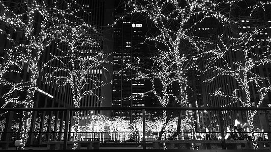 white string lights hanging on the trees thumbnail