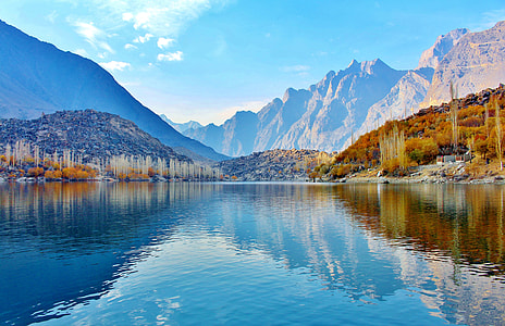 brown trees with lake during daytime thumbnail