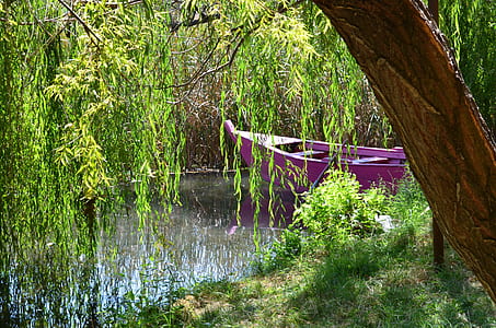 pink boat near the tree thumbnail