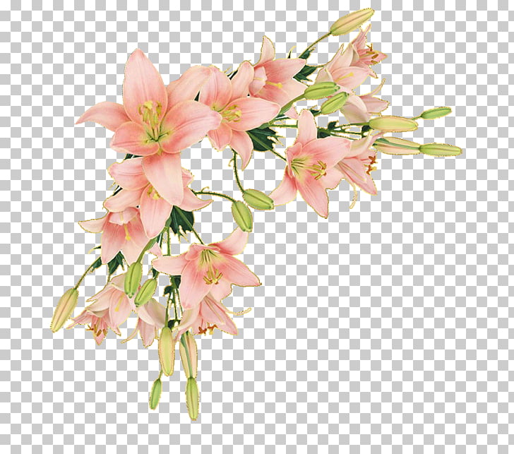 border flowers borders and frames paper flower pink paper with flower border