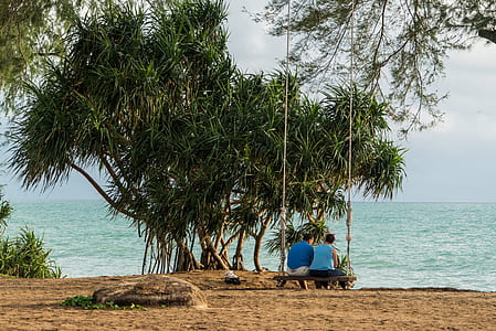 two persons sitting on large tree swing thumbnail