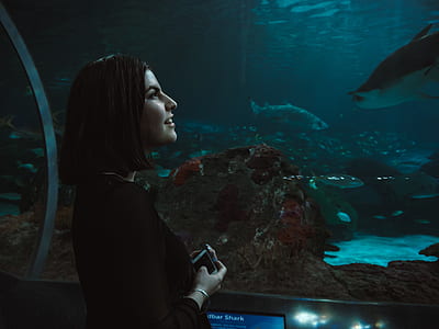 smiling woman holding smartphone standing inside giant aquarium while looking on fish thumbnail