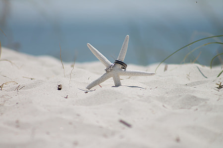 white starfish with two silver-colored rings on white sand thumbnail