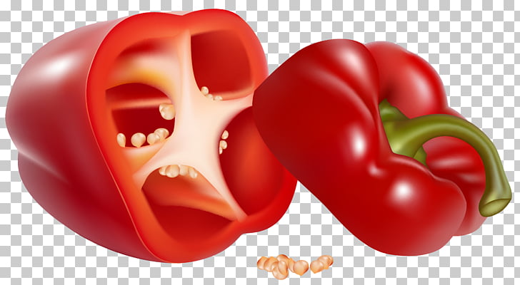 capsicum bell pepper chili pepper vegetable pepper png clipart free cliparts uihere uihere