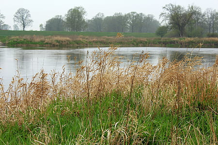 landscape photography of body of water thumbnail