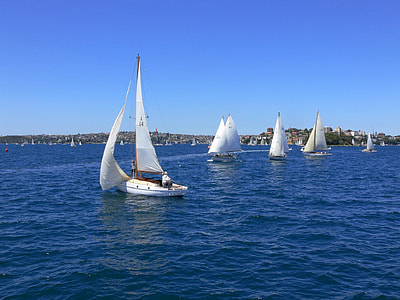 five white sailing boats on ocean thumbnail