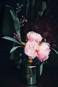 pink flowers thumbnail