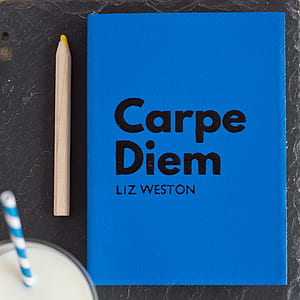 Carpe Diem Liz Weston case beside pen thumbnail