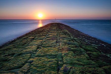 landscape photography of green mossy pavement under clear sky during daytime thumbnail