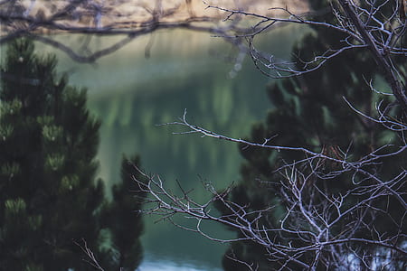 light, dawn, landscape, nature thumbnail