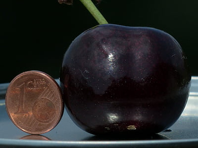 round 1 cent coin thumbnail