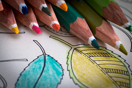 Coloring Book For Adults thumbnail