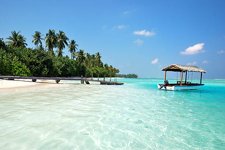 white boat on blue ocean water near island during daytime thumbnail
