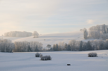 white snow field thumbnail