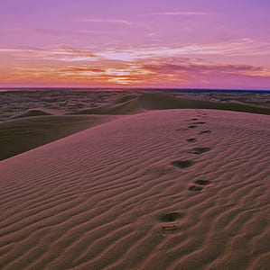 desert scenery with footprint trails thumbnail