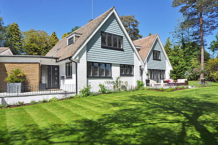 white wooden house beside green leafed trees thumbnail