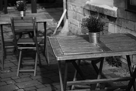 Photo of Potted Flower on Folding Table thumbnail