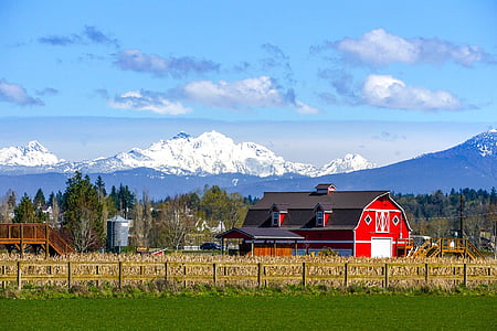 photo of red and black barn house surrounded by corn field thumbnail
