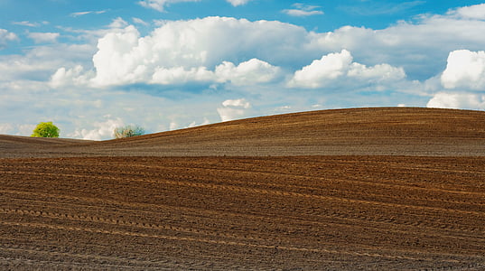 landscape of brown soil thumbnail