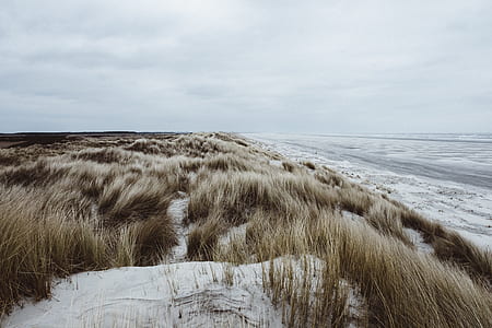 brown fields near sea during daytime photography thumbnail