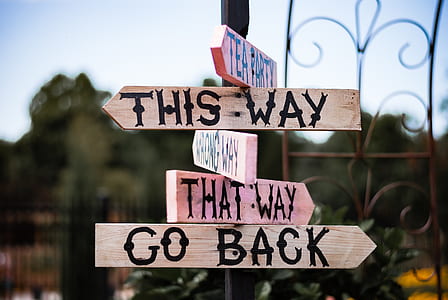 this way that way go back signages on pole thumbnail