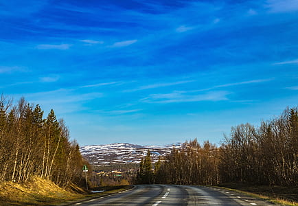 road surrounded by trees under blue sky at daytime thumbnail