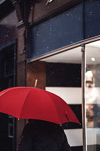 person holding red umbrella thumbnail