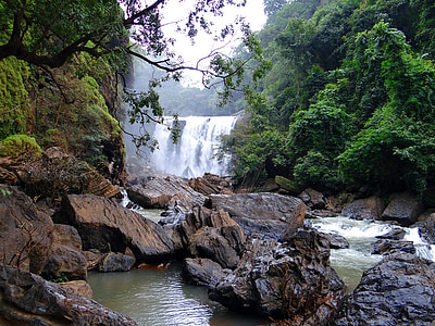 lanscape photography of falls near trees thumbnail