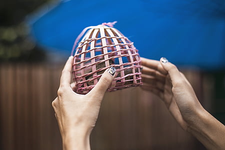 person holding pink birdcage thumbnail