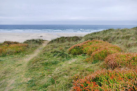 Penhale Sands, Perranporth thumbnail