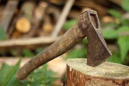 selective photo of brown axe on log thumbnail