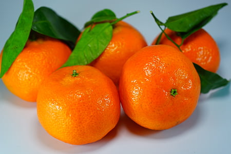 five orange fruits thumbnail