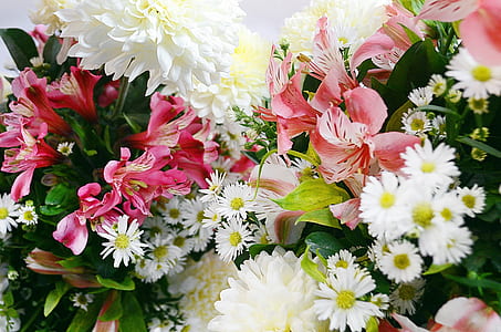 white, pink, and yellow flower bouquet thumbnail