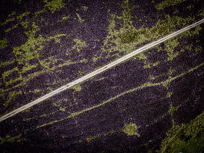 heather, path, moorland, line thumbnail