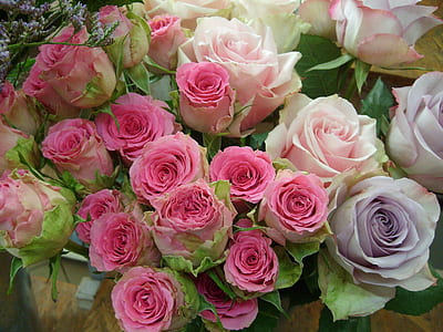 pink rose bouquet thumbnail
