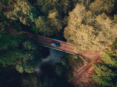 aerial photo of blue car on bridge near trees thumbnail