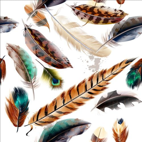 Fashion feathers seamless pattern vectors 03 ai file