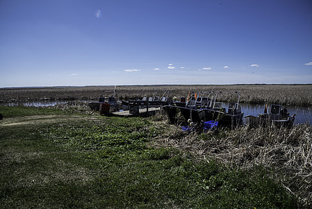 Marsh Boats at Hecla Provincial Park thumbnail