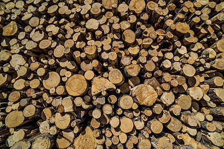 firewood stock thumbnail