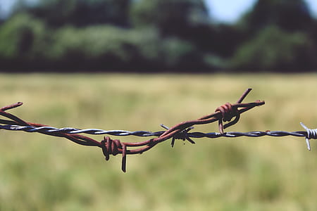 selective focus photo of barbwire thumbnail