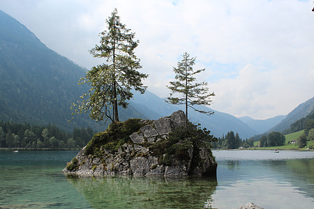 two trees on stone in the middle of lake thumbnail