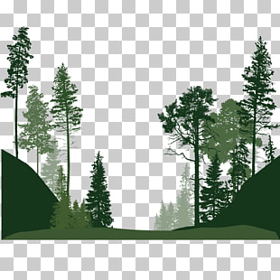 Forest Euclidean Tree, Forest trees, silhouette of trees illustration PNG clipart