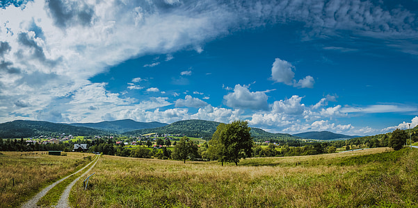green field with trees under blue sky during daytime thumbnail