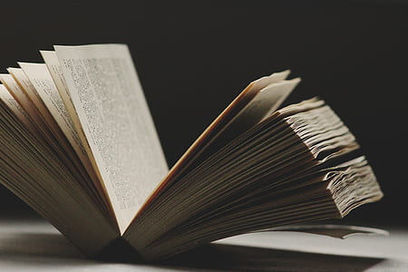 selective focus photo of opened book thumbnail
